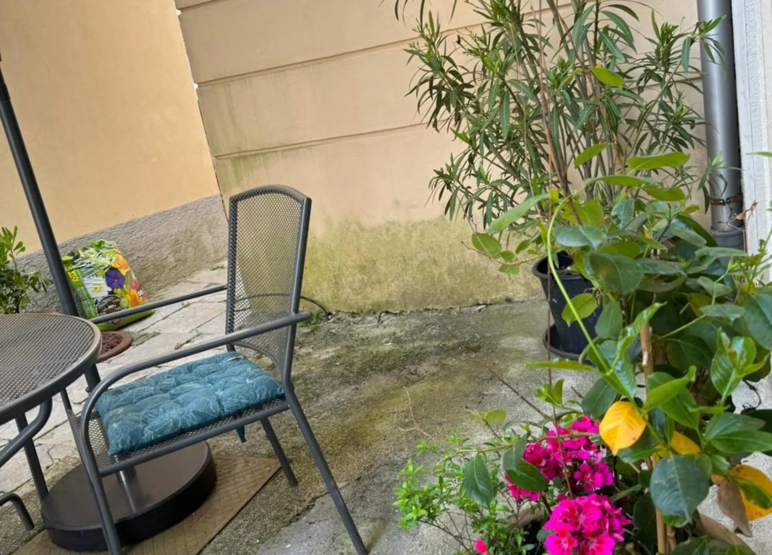 Apartment Mirna - What You See Is What You Get Opatija