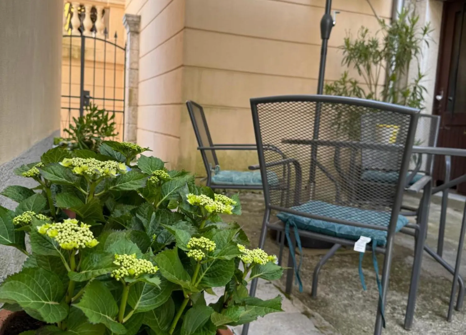 Apartment Mirna - What You See Is What You Get Opatija